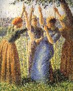 Camille Pissarro Planting scenes oil painting artist